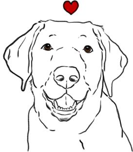 Lab Lover, Labrador Retriever, Black Lab, Yellow Lab, Chocolate Lab Magnet