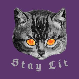 Stay Lit Burning Fire Eyes Cat Occult Satanic Witchcraft 666 T-Shirt