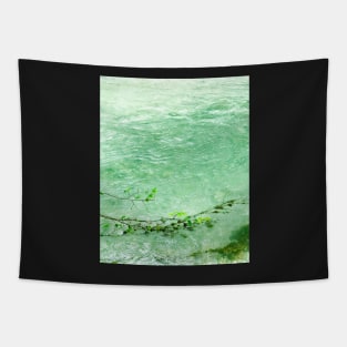 Fresh Mountain Water in a Lake 1 Tapestry