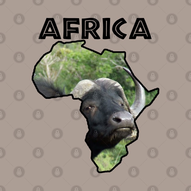 Africa Wildlife Continent Buffalo Grass by PathblazerStudios