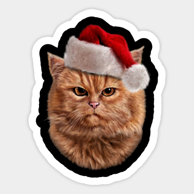 Disgruntle Orange Tabby Cat In Santa Hat Christmas Gifts Cats