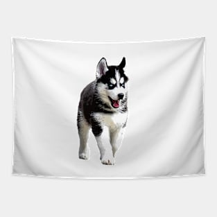 Siberian Husky Puppy Dog Tapestry