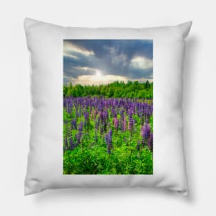 The Lupins of P.E.I. Pillow