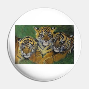 3 tigers in the grass......... Pin