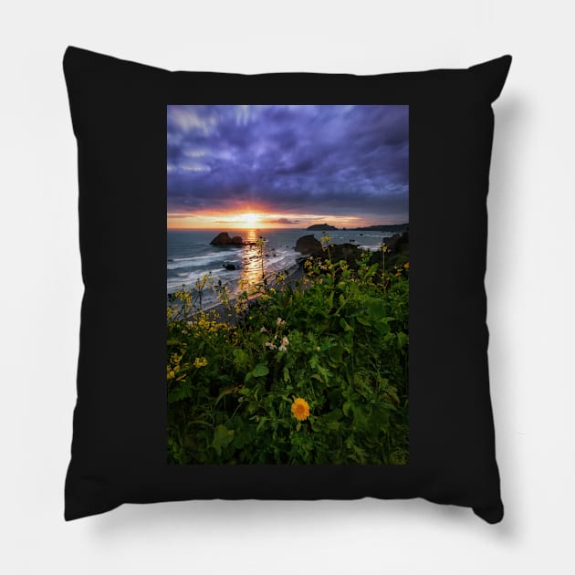 Flowers at Sunset Pillow by JeffreySchwartz