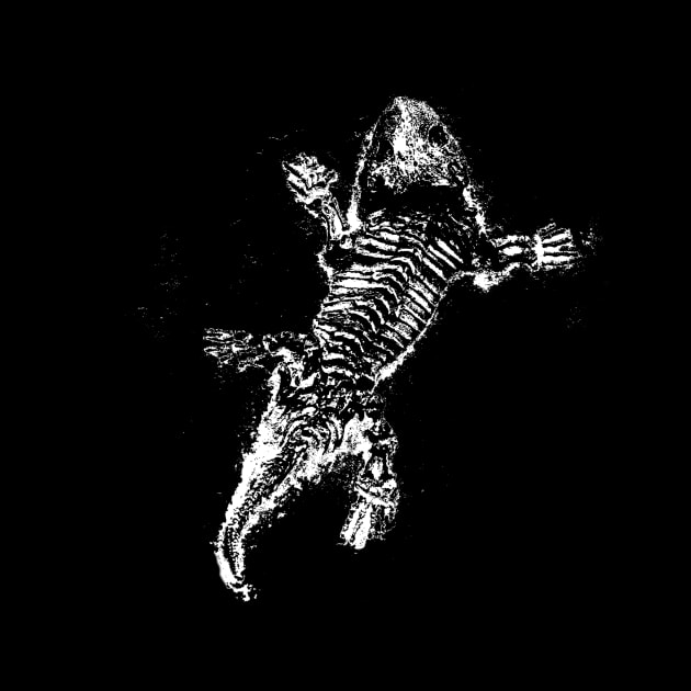 Bearded Dragon Lizard Skeleton Vintage Black white Graphics by joannejgg