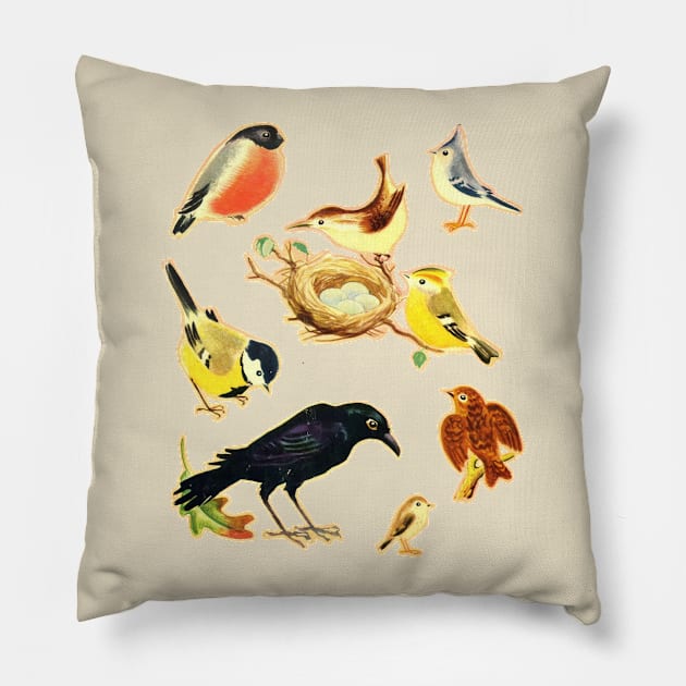 Vintage Styled Birds Illustration Design Pillow by DankFutura