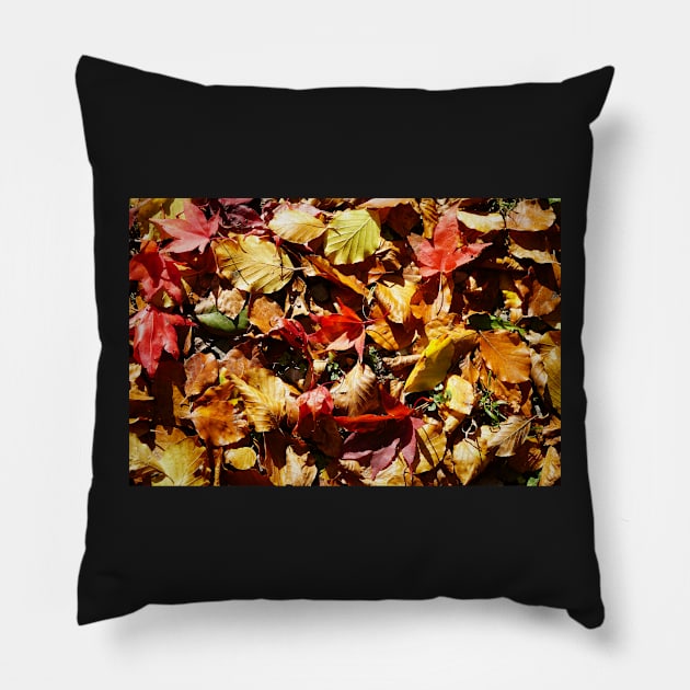 Colorful Fallen Autumn Leaves 2 - Seasons - Nature Abstract Pillow by Harmony-Mind