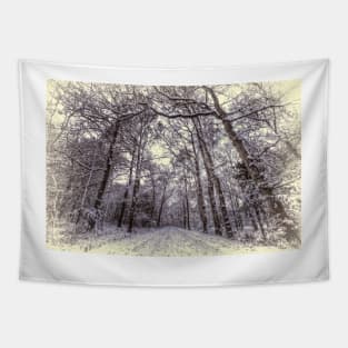 Winter Forest Path Tapestry