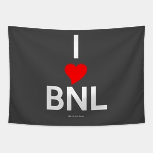 I heart Barenaked Ladies (But I do miss Steve) - Light Text Tapestry