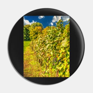 Vineyard-autumn painting, oil painting, nature Pin