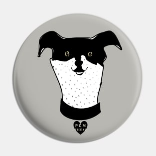 Rat terrier : Pin