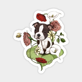 Boston Terrier Puppy Bouquet Magnet