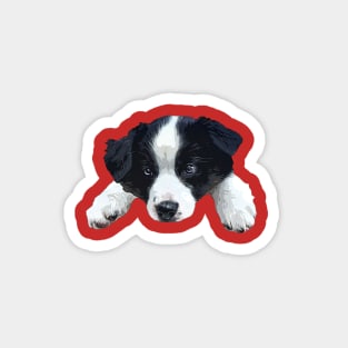 Border Collie Cute Puppy Dog Paws Magnet