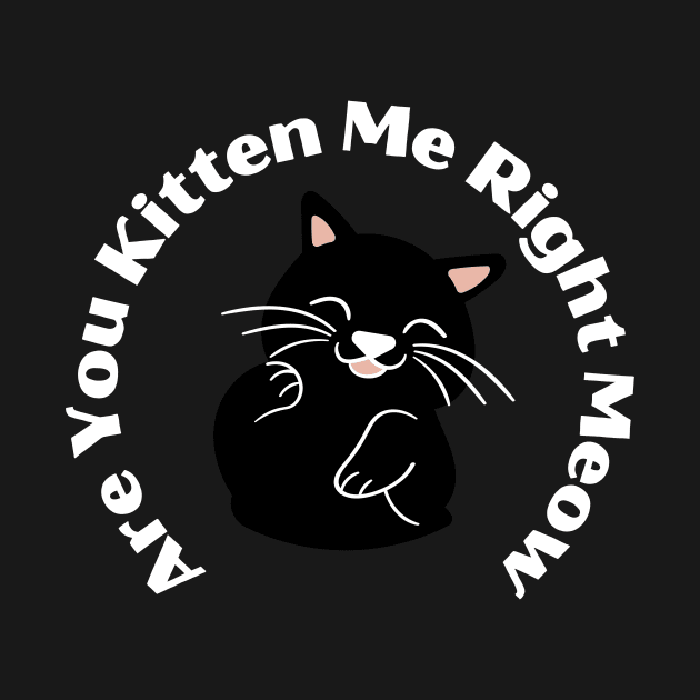 Are You Kitten Me Right Meow by SpaceART