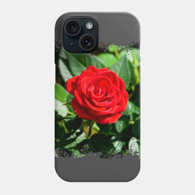 Rose Phone Case by Nicole Gath Photography