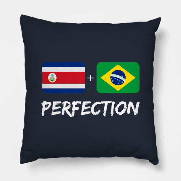 Costa Rican Plus Brazilian Perfection Mix Flag Heritage Gift Pillow by Just Rep It!!