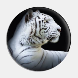 White Tiger Animal Wildlife Jungle Nature Safari Adventure Discovery Pin