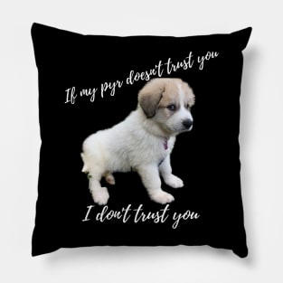 If my pyr doesn't trust you, I don't trust you Pillow