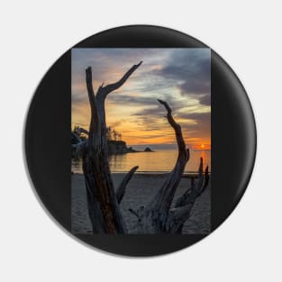 Driftwood Sunset Pin