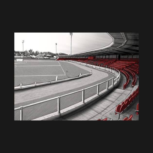 The Ryan McBride Brandywell Stadium - Derry City FC League of Ireland Football Artwork by barrymasterson