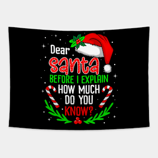 Funny Christmas Dear Santa Before I Explain Xmas Family Tapestry