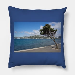 Miramar waterfront. Pillow