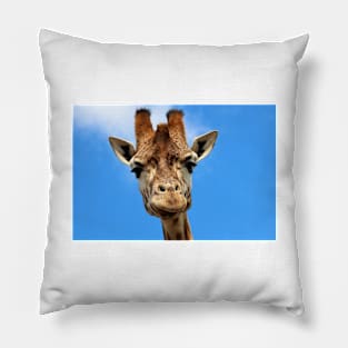 Giraffe Pillow