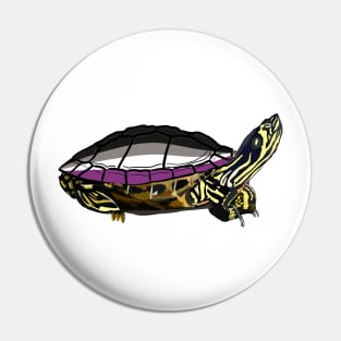 Asexual Pride Turtle Pin