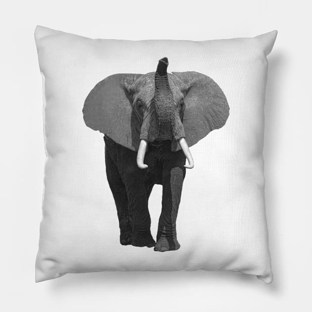 Elephant with the Trunk up in Kenya / Africa Pillow by T-SHIRTS UND MEHR