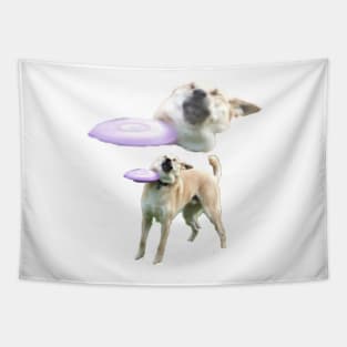 Frisbee Dog 1 Tapestry