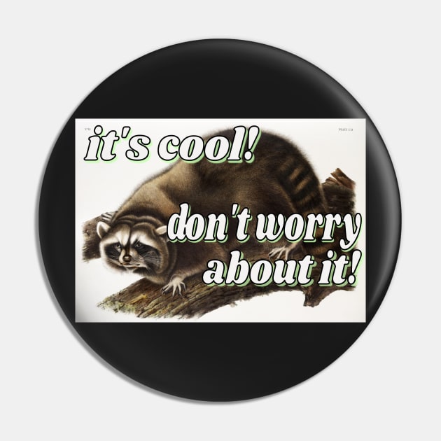 it's cool! don't worry about it! little guy raccoon Pin by ellanely