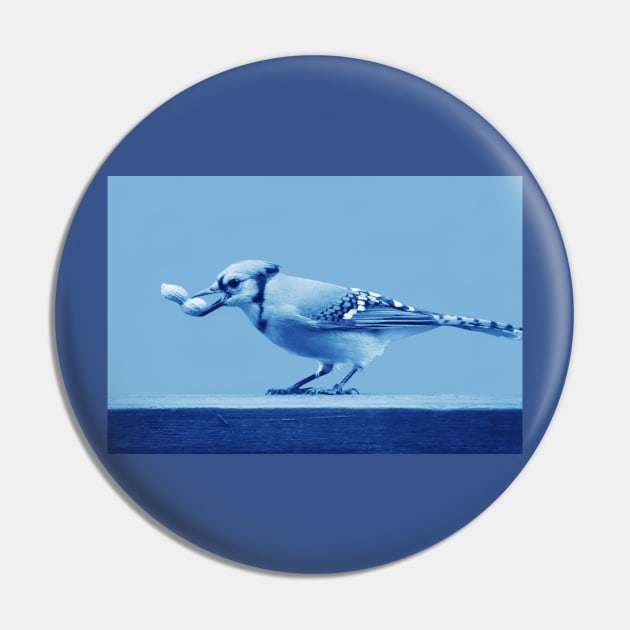 Blue Jay Pin by LaurieMinor