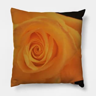 Bright Yellow Rose Pillow