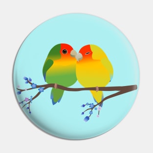 Two cute egg shaped peach faced lovebirds Pin