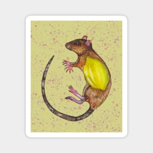 Rat or mouse with lemon Magnet