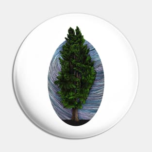 Cedar Tree in morning fog Pin