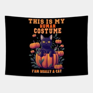 This Is My Human Costume I'm Really A Cat Pumkin Halloween Tapestry