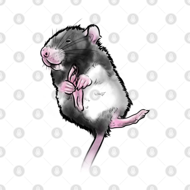 Cute rat by slavo_slavo