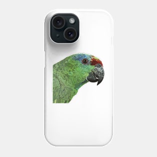 Festive Amazon Phone Case