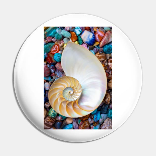 Nautilus Shell On Colorful Stones Pin by photogarry