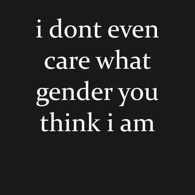 I Don't Even Care What Gender You Think I Am Funny T-shirt by TheWrightSales