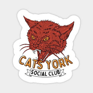 Cats York Social Club Magnet