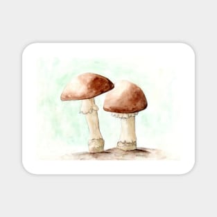 Mushrooms, watercolor painting Magnet