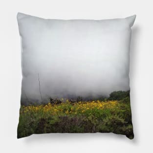 Foggy Morning Nature Scene in San Deigo Pillow