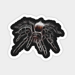 Hairy leg tarantula. Spider. Red spider Magnet