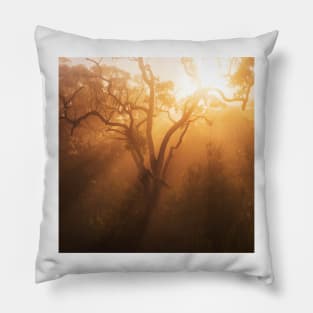 Atmosphere Pillow