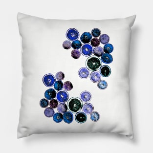 Dark Blue Fruit Slices Pillow