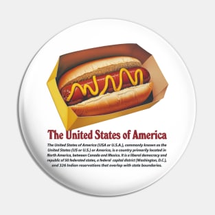 The United States of America Pin