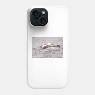 Cygnet in Flight Phone Case